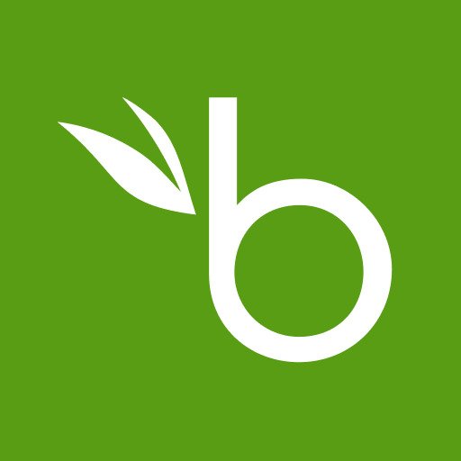 BambooHR Software logo